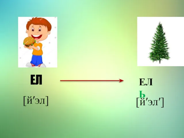 ЕЛ [й′эл] ЕЛЬ [й′эл′]