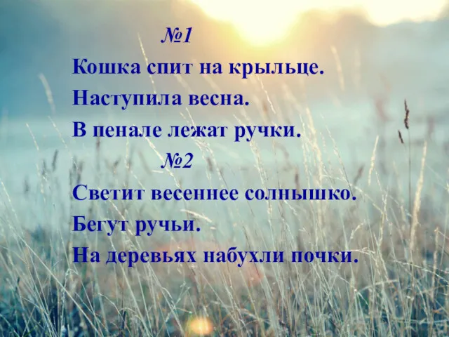 №1 Кошка спит на крыльце. Наступила весна. В пенале лежат ручки. №2 Светит