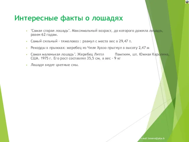 Интересные факты о лошадях "Самая старая лошадь". Максимальный возраст, до