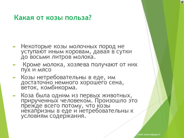 Какая от козы польза? Некоторые козы молочных пород не уступают