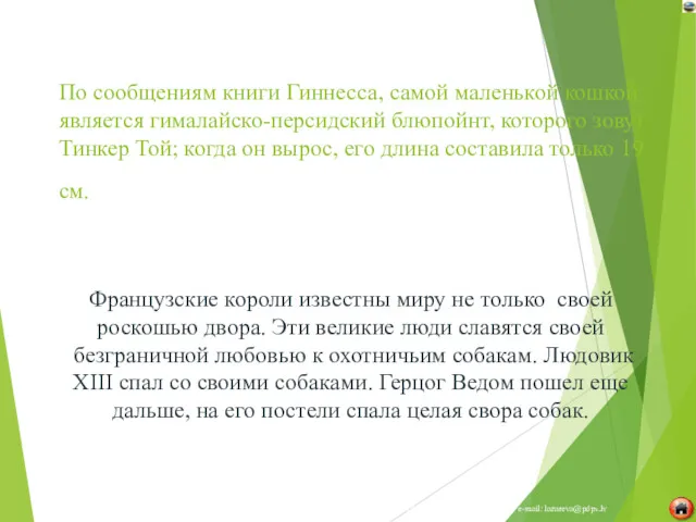 По сообщениям книги Гиннесса, самой маленькой кошкой является гималайско-персидский блюпойнт,