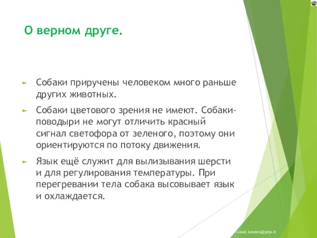 О верном друге. Собаки приручены человеком много раньше других животных.