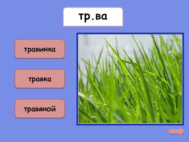 трава травинка травка травяной тр.ва