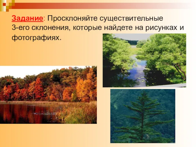 Задание: Просклоняйте существительные 3-его склонения, которые найдете на рисунках и фотографиях.