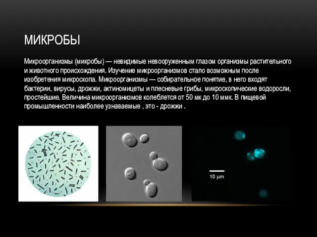 МИКРОБЫ Микроорганизмы (микробы) — невидимые невооруженным глазом организмы растительного и