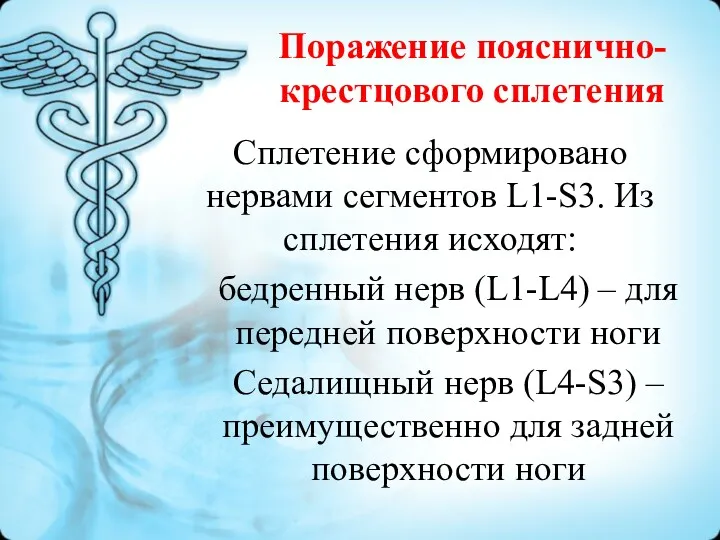 Поражение пояснично-крестцового сплетения Сплетение сформировано нервами сегментов L1-S3. Из сплетения