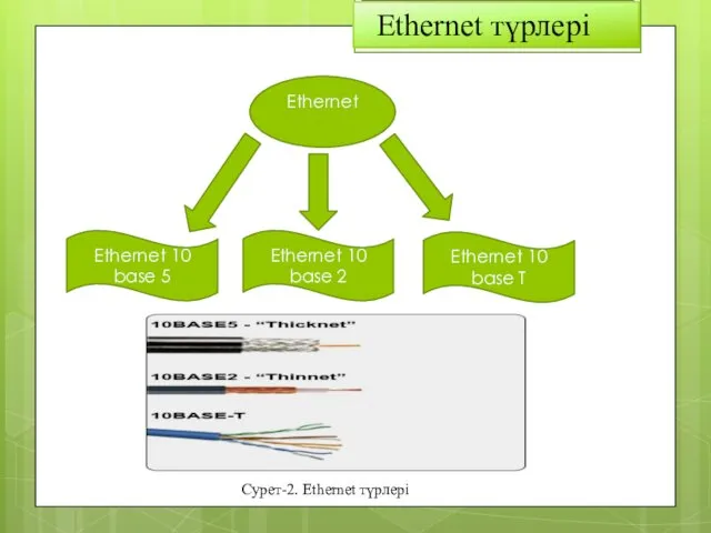 Ethernet түрлері Ethernet Ethernet 10 base 5 Ethernet 10 base