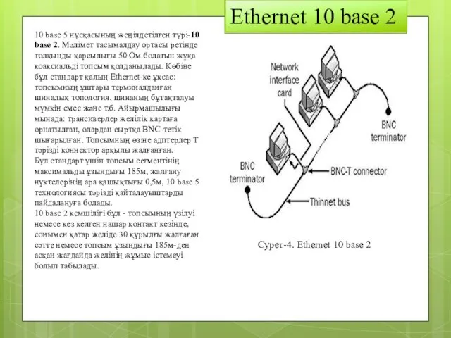 Ethernet 10 base 2 10 base 5 нұсқасының жеңілдетілген түрі-10