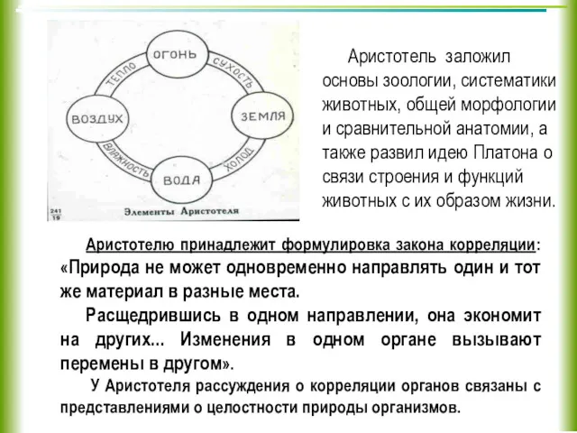 Аристотель заложил основы зоологии, систематики животных, общей морфологии и сравнительной