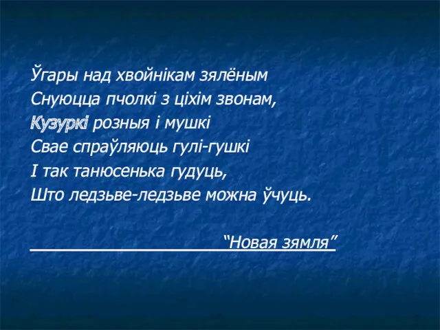 Ўгары над хвойнікам зялёным Снуюцца пчолкі з ціхім звонам, Кузуркі