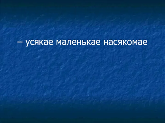 – усякае маленькае насякомае