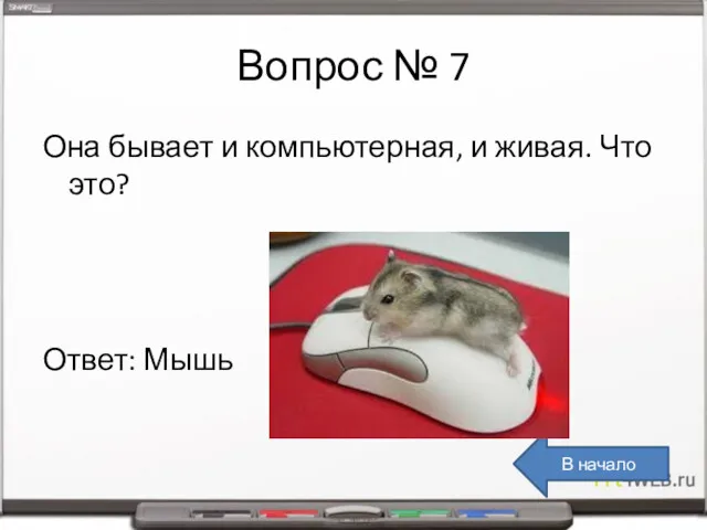 Вопрос № 7 Она бывает и компьютерная, и живая. Что это? Ответ: Мышь В начало