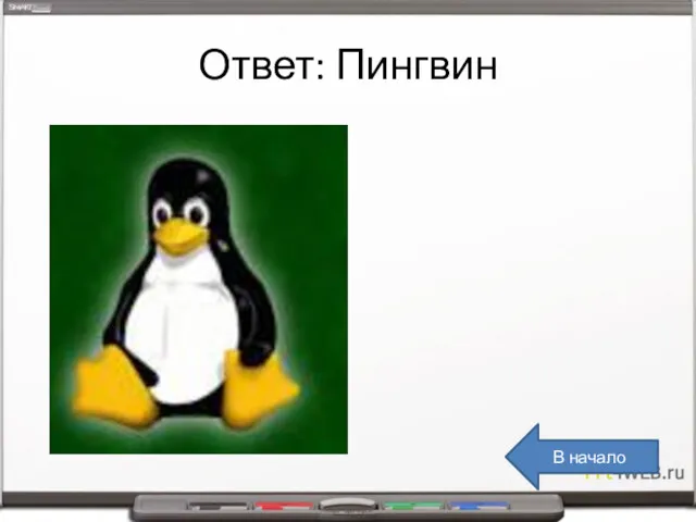 Ответ: Пингвин В начало