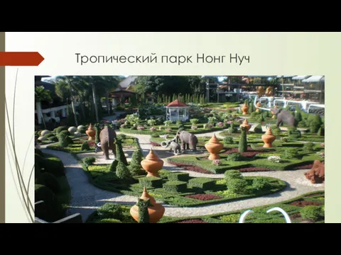 Тропический парк Нонг Нуч