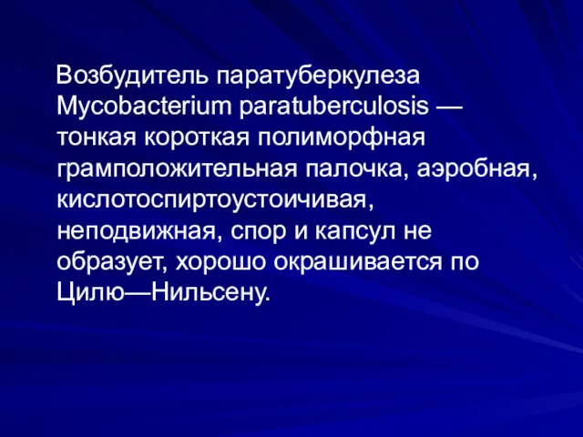 Возбудитель паратуберкулеза Mycobacterium paratuberculosis — тонкая короткая полиморфная грамположительная палочка,