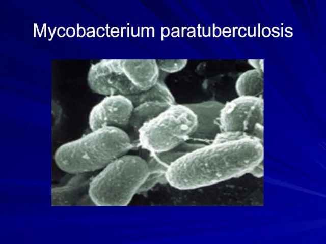 Mycobacterium paratuberculosis