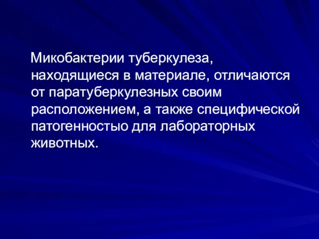 Микобактерии туберкулеза, находящиеся в материале, отличаются от паратуберкулезных своим расположением,