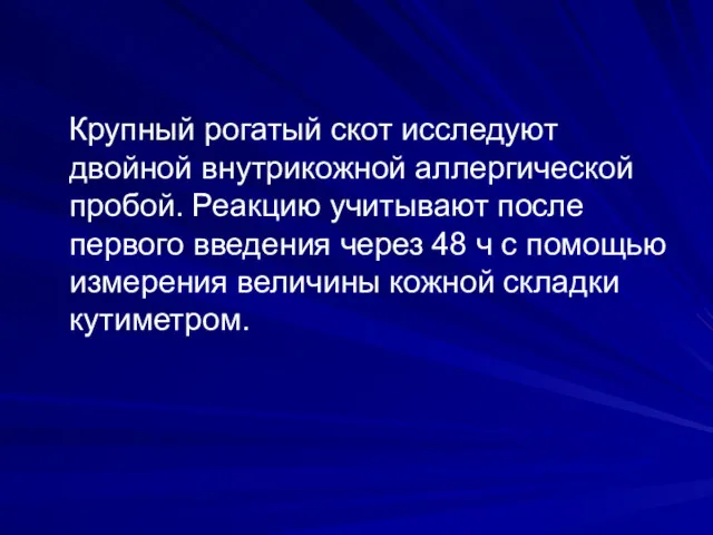 Крупный рогатый скот исследуют двойной внутрикожной аллергической пробой. Реакцию учитывают после первого введения