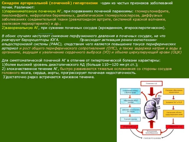 Синдром артериальной (почечной) гипертензии -один из частых признаков заболеваний почек.