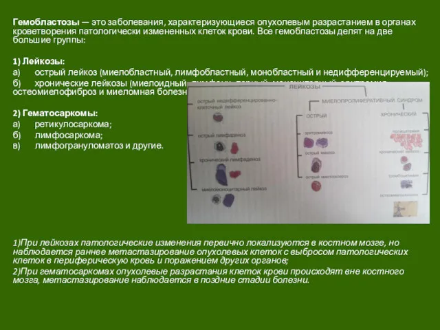 Гемобластозы — это заболевания, характеризующиеся опухолевым разрастанием в органах кроветворения