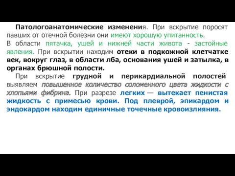 Патологоанатомические изменения. При вскрытие поросят павших от отечной болезни они