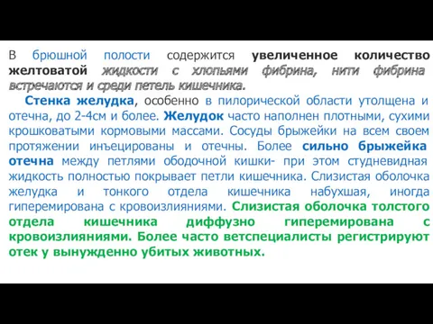 В брюшной полости содержится увеличенное количество желтоватой жидкости с хлопьями