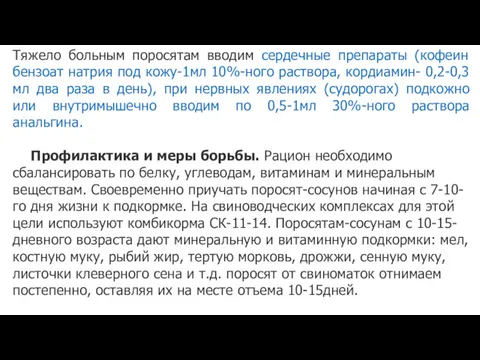 Тяжело больным поросятам вводим сердечные препараты (кофеин бензоат натрия под