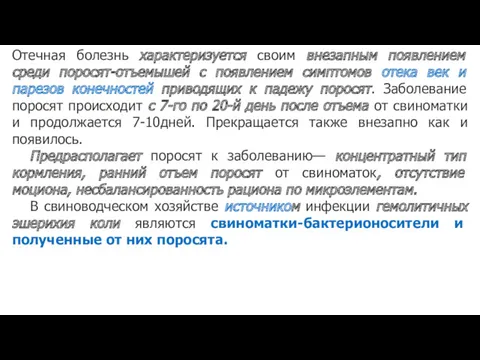 Отечная болезнь характеризуется своим внезапным появлением среди поросят-отъемышей с появлением