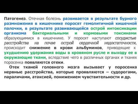 Патогенез. Отечная болезнь развивается в результате бурного размножения в кишечнике