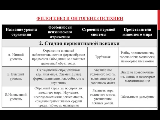 ФИЛОГЕНЕЗ И ОНТОГЕНЕЗ ПСИХИКИ