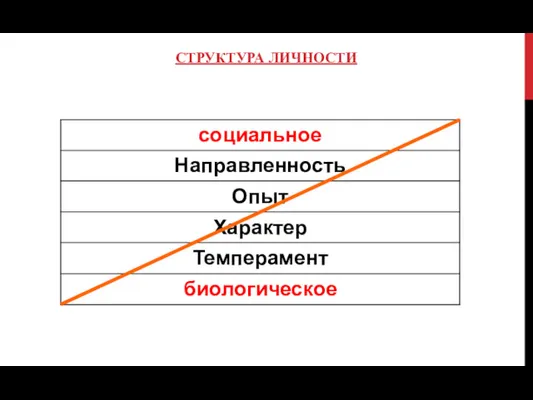 СТРУКТУРА ЛИЧНОСТИ