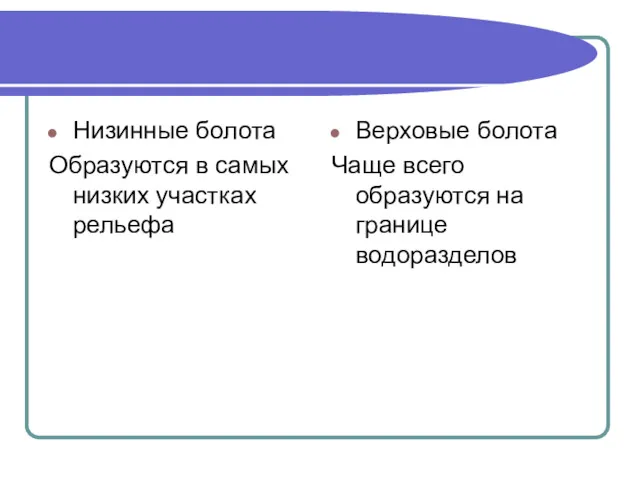 Низинные болота Образуются в самых низких участках рельефа Верховые болота Чаще всего образуются на границе водоразделов