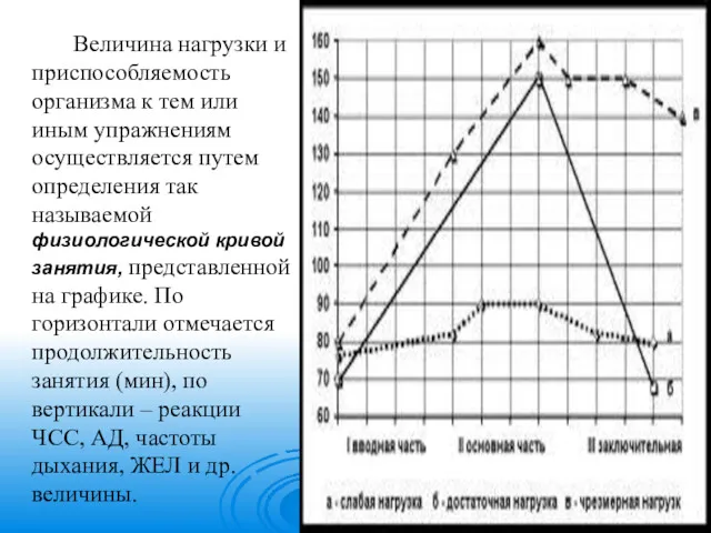 Величина нагрузки и приспособляемость организма к тем или иным упражнениям