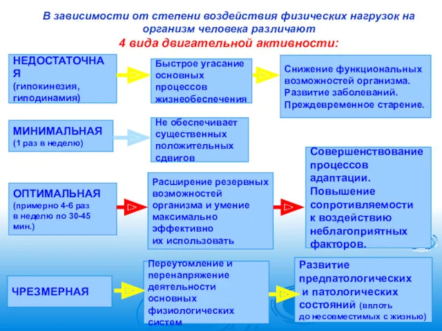 В зависимости от степени воздействия физических нагрузок на организм человека