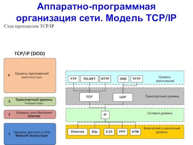 Аппаратно-программная организация сети. Модель TCP/IP Стек протоколов TCP/IP