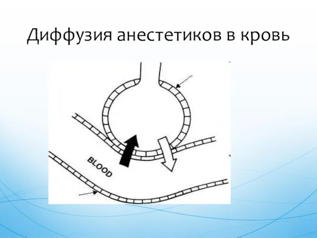 Диффузия анестетиков в кровь