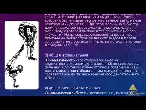 В спорте не следует добиваться предельного развития гибкости. Ее надо