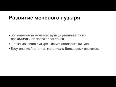 Развитие мочевого пузыря •Большая часть мочевого пузыря развивается из проксимальной