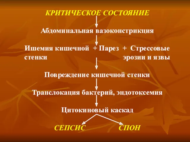 КРИТИЧЕСКОЕ СОСТОЯНИЕ Абдоминальная вазоконстрикция Ишемия кишечной + Парез + Стрессовые