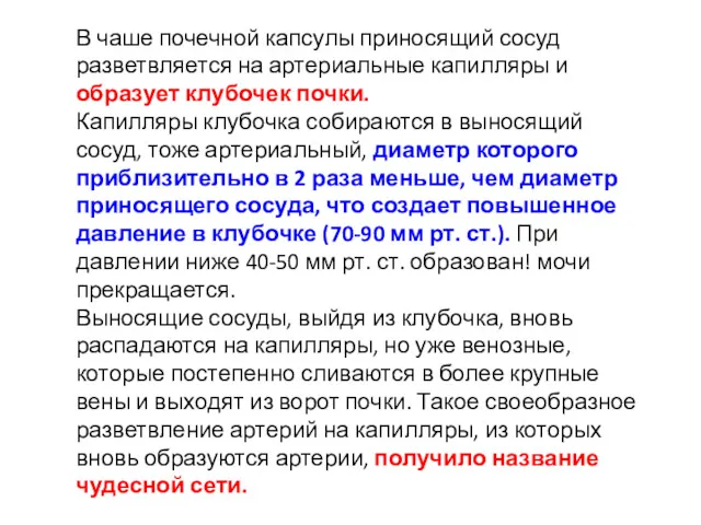 В чаше почечной капсулы приносящий сосуд разветвляется на артериальные капилляры