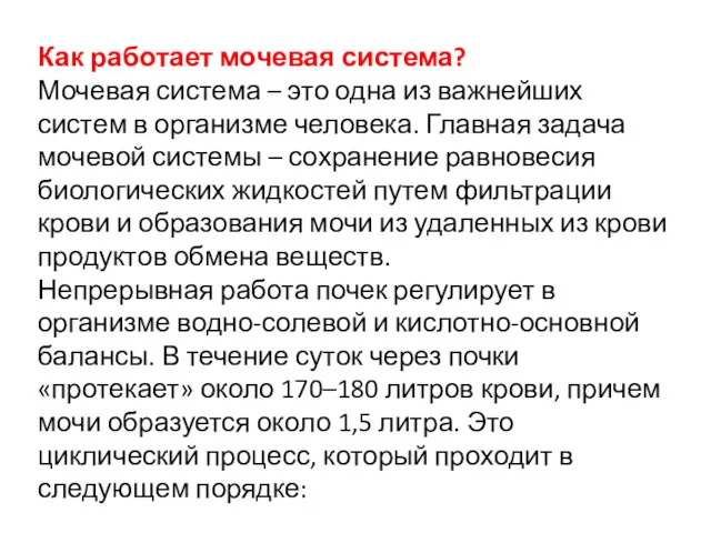 Как работает мочевая система? Мочевая система – это одна из