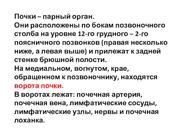 Почки – парный орган. Они расположены по бокам позвоночного столба