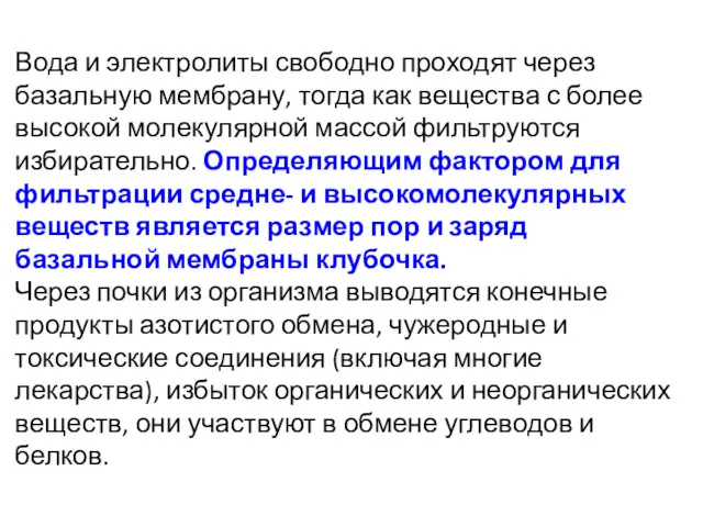 Вода и электролиты свободно проходят через базальную мембрану, тогда как