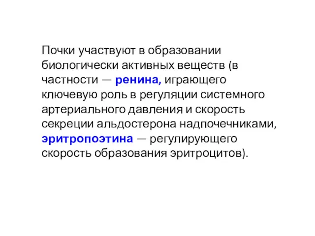 Почки участвуют в образовании биологически активных веществ (в частности —