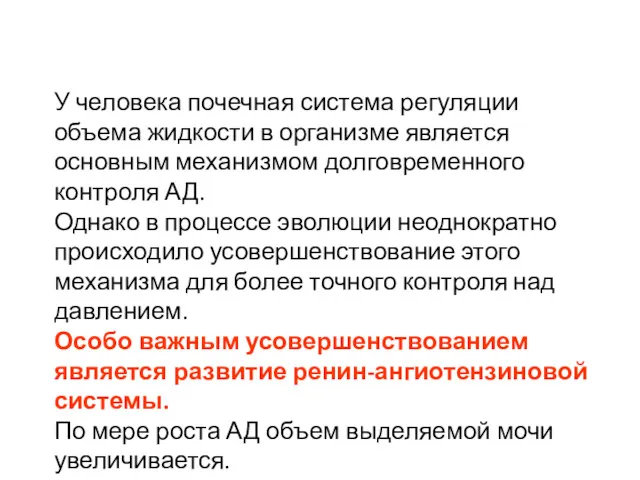 У человека почечная система регуляции объема жидкости в организме является