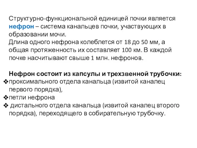 Структурно-функциональной единицей почки является нефрон – система канальцев почки, участвующих