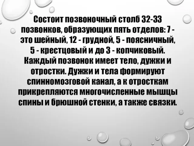 Состоит позвоночный столб 32-33 позвонков, образующих пять отделов: 7 -