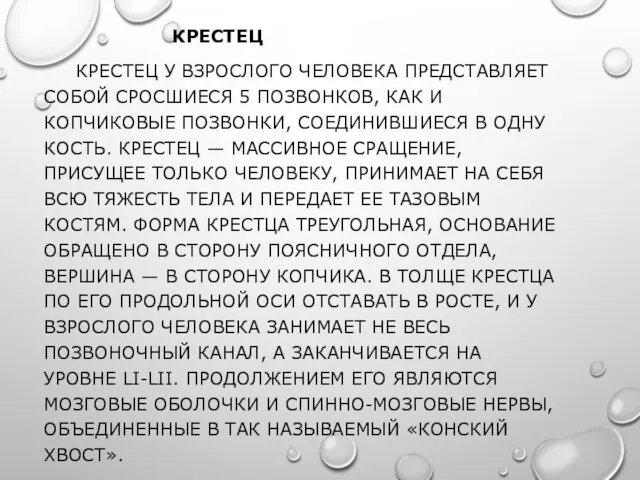 КРЕСТЕЦ КРЕСТЕЦ У ВЗРОСЛОГО ЧЕЛОВЕКА ПРЕДСТАВЛЯЕТ СОБОЙ СРОСШИЕСЯ 5 ПОЗВОНКОВ,