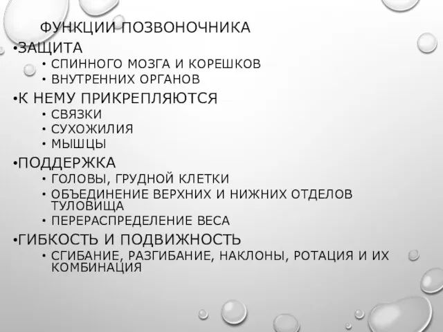 ФУНКЦИИ ПОЗВОНОЧНИКА ЗАЩИТА СПИННОГО МОЗГА И КОРЕШКОВ ВНУТРЕННИХ ОРГАНОВ К