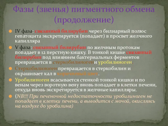 IV фаза: связанный билирубин через билиарный полюс гепатоцита экскретируется (попадает)